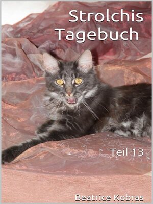 cover image of Strolchis Tagebuch, Teil 13